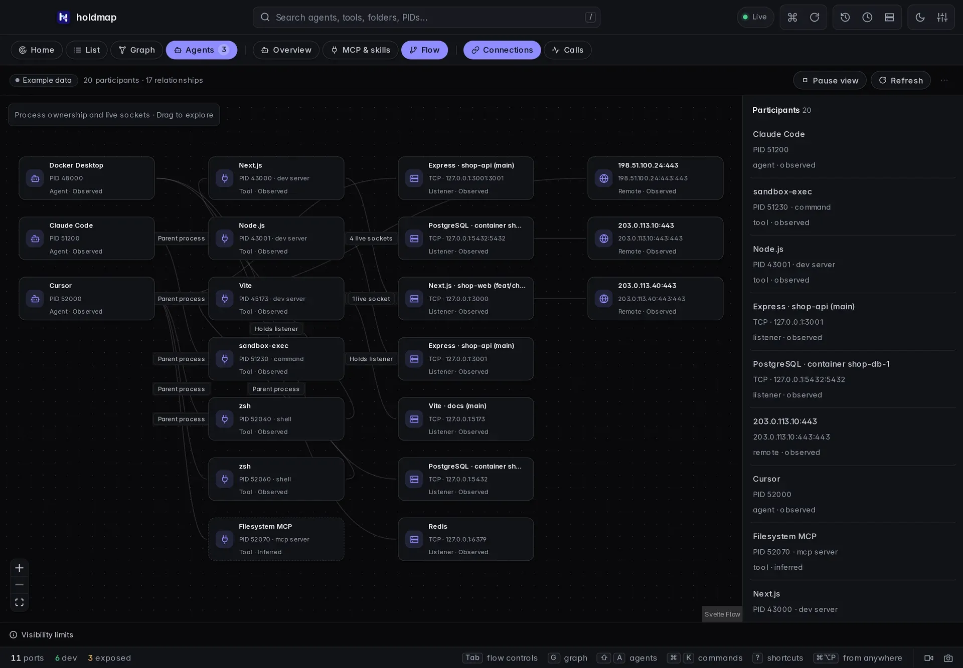 Connections shows observed process parenting, listeners and live socket relationships