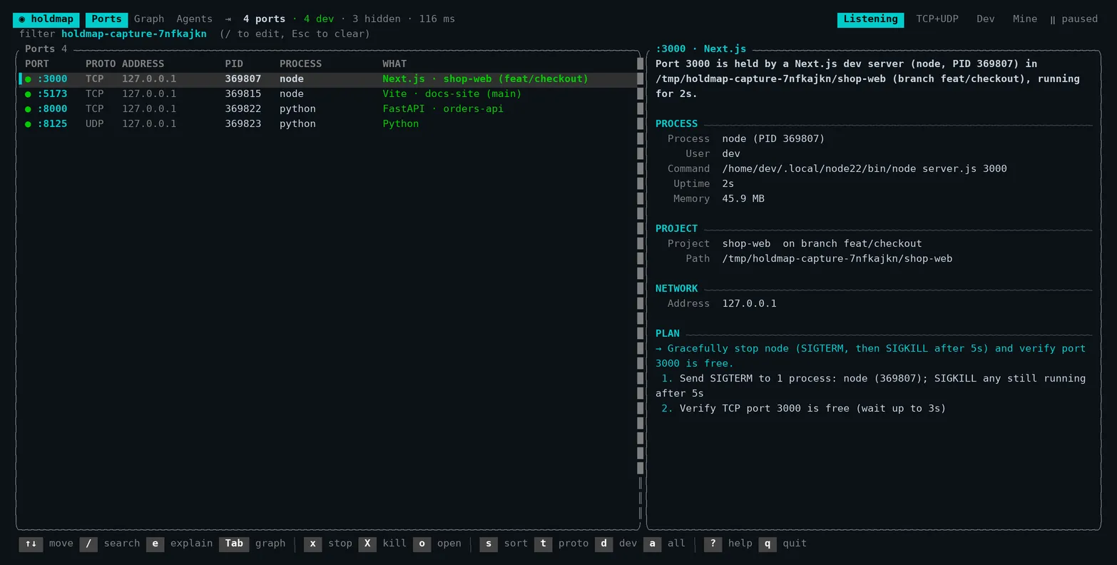 The holdmap TUI: a port table with the details pane for the selected port