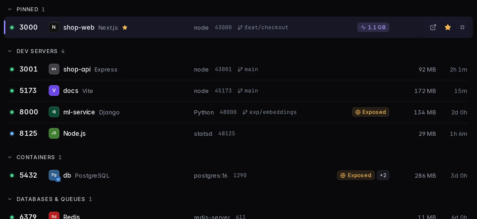 The port list with project names, frameworks, branches and memory.