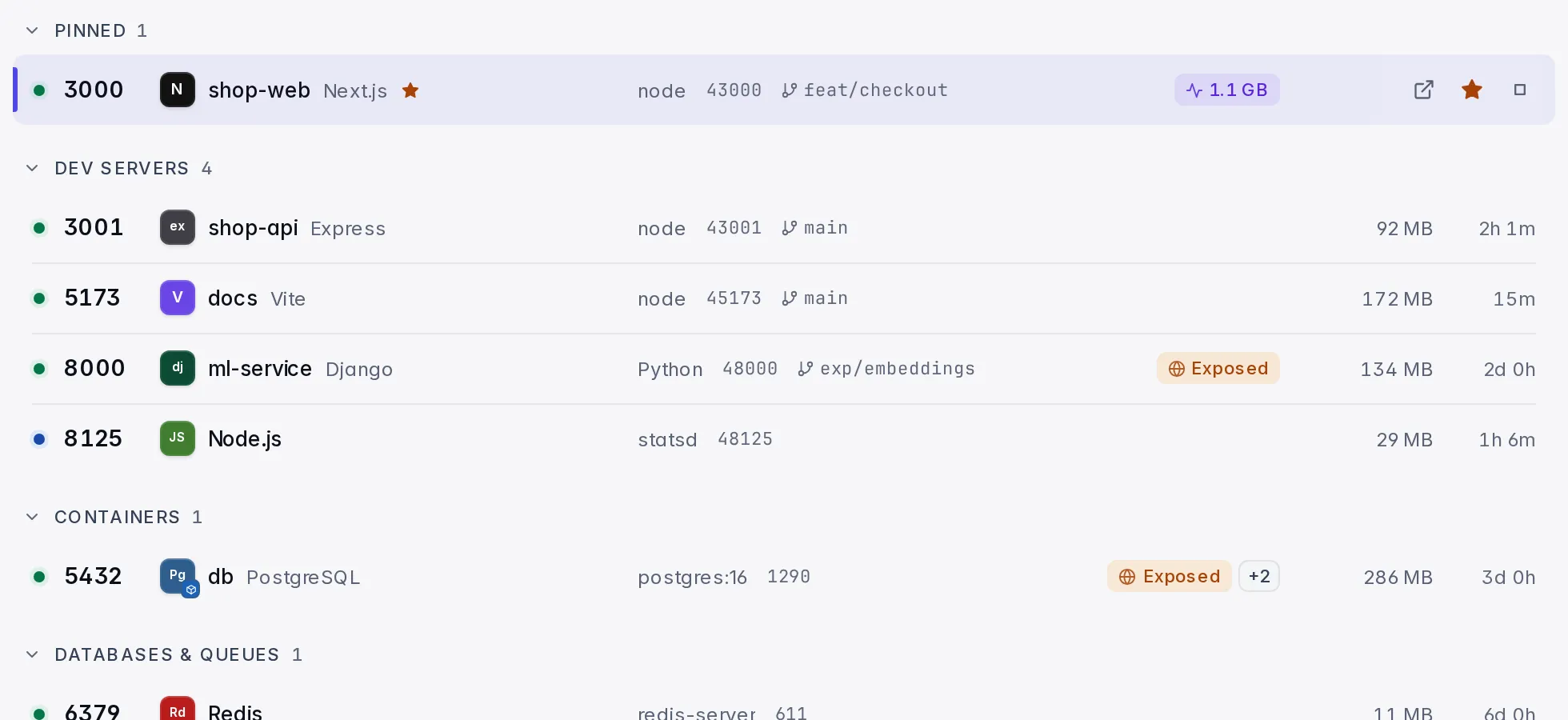 The port list with project names, frameworks, branches and memory.